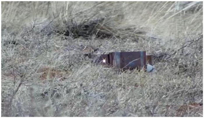 圖片 8.png 圖片 8.png